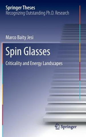 Książka Spin Glasses Marco Baity Jesi