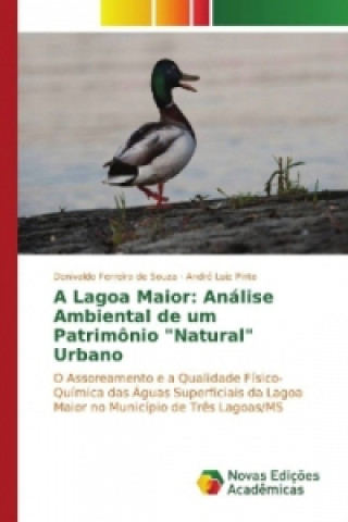 Carte A Lagoa Maior: Análise Ambiental de um Patrimônio "Natural" Urbano Denivaldo Ferreira de Souza