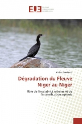 Kniha Dégradation du Fleuve Niger au Niger Abdou Bontianti