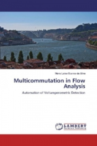 Kniha Multicommutation in Flow Analysis Maria Luísa Soares da Silva