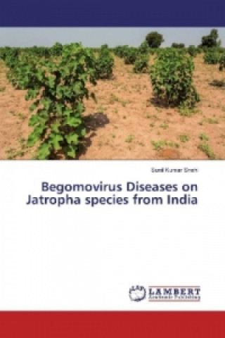 Knjiga Begomovirus Diseases on Jatropha species from India Sunil Kumar Snehi