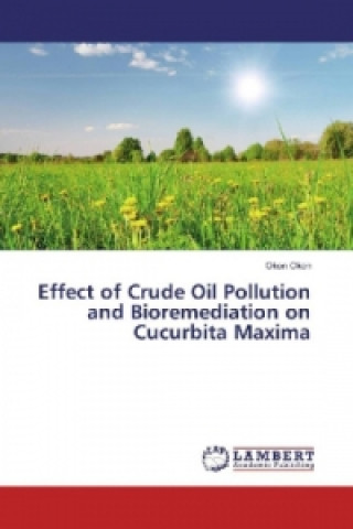 Carte Effect of Crude Oil Pollution and Bioremediation on Cucurbita Maxima Okon Okon