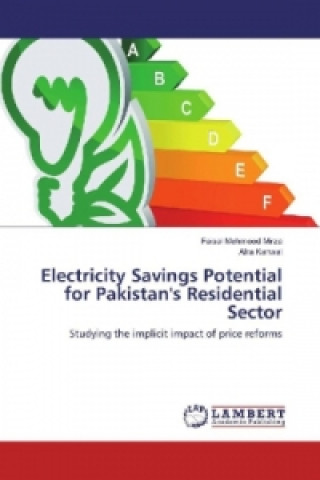 Könyv Electricity Savings Potential for Pakistan's Residential Sector Faisal Mehmood Mirza