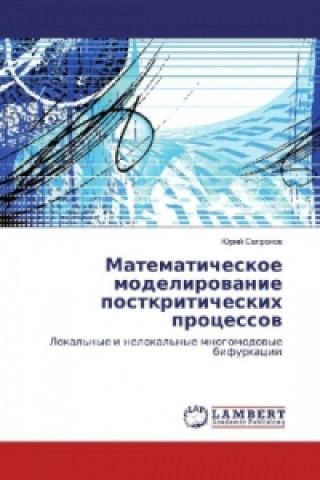 Carte Matematicheskoe modelirovanie postkriticheskih processov Jurij Sapronov