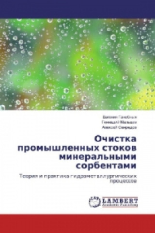 Kniha Ochistka promyshlennyh stokov mineral'nymi sorbentami Evgeniya Ganebnyh