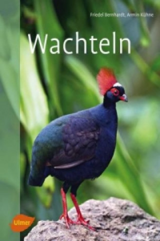 Книга Wachteln Friedel Bernhardt