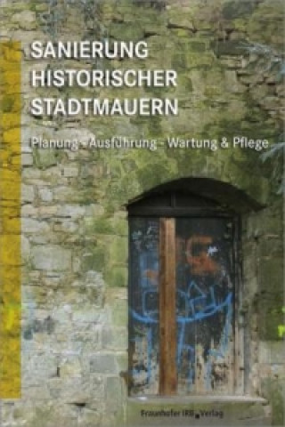 Kniha Sanierung historischer Stadtmauern. Gabriele Patitz