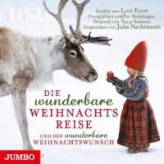 Audio Die wunderbare Weihnachtsreise, Audio-CD Lori Evert
