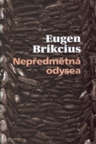 Book Nepředmětná Odyssea Eugen Brikcius