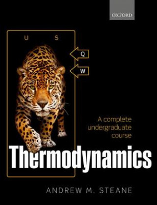 Kniha Thermodynamics ANDREW M. STEANE