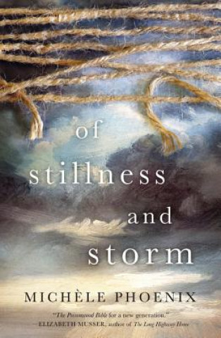 Kniha Of Stillness and Storm Michele Phoenix