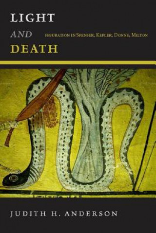 Knjiga Light and Death ANDERSON JUDITH