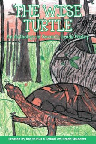 Buch Wise Turtle 7TH GRADE STUDENTS