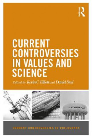 Kniha Current Controversies in Values and Science STEEL