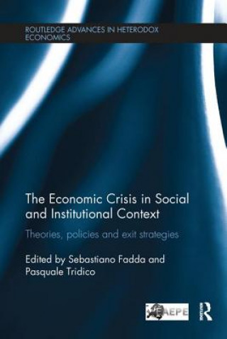 Buch Economic Crisis in Social and Institutional Context Sebastiano Fadda