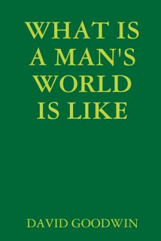 Kniha What is A Man's World is Like DAVID GOODWIN