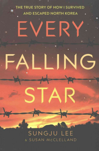 Kniha Every Falling Star (UK edition) Sungju Lee