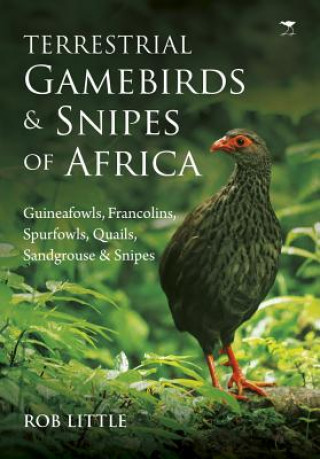 Könyv Terrestrial gamebirds & snipes of Africa ROB LITTLE