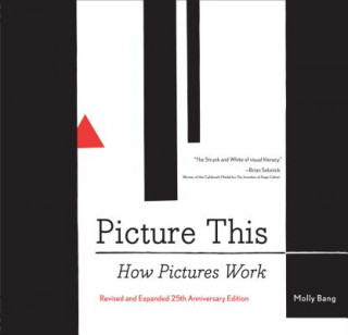 Könyv Picture This: How Pictures Work Molly Bang