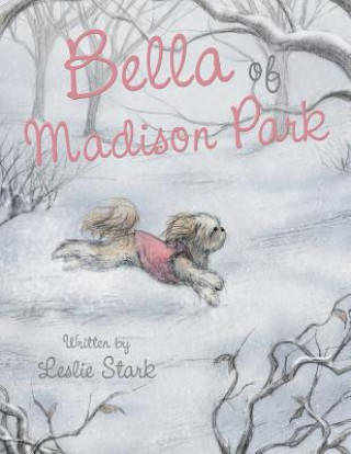 Kniha Bella of Madison Park LESLIE STARK