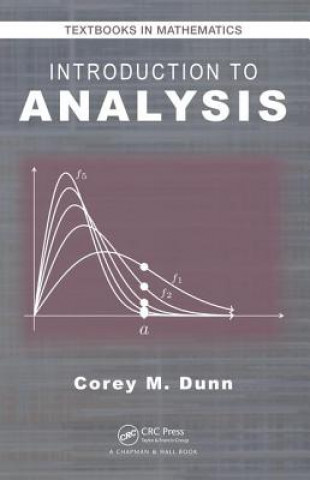 Buch Introduction to Analysis DUNN