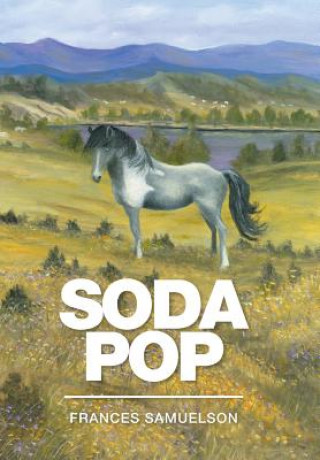 Buch Soda Pop FRANCES SAMUELSON