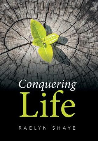 Könyv Conquering Life RAELYN SHAYE