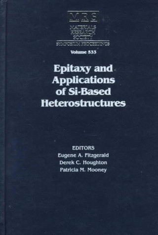 Kniha Epitaxy and Applications of Si-Based Heterostructures: Volume 533 EDITED BY EUGENE A.