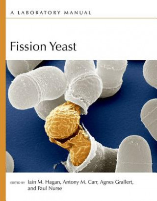 Książka Fission Yeast: A Laboratory Manual 