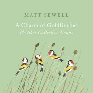 Książka Charm of Goldfinches and Other Collective Nouns Matt Sewell