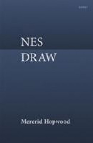 Book Nes Draw Mererid Hopwood