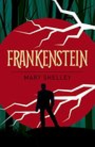 Libro Frankenstein Mary Shelley