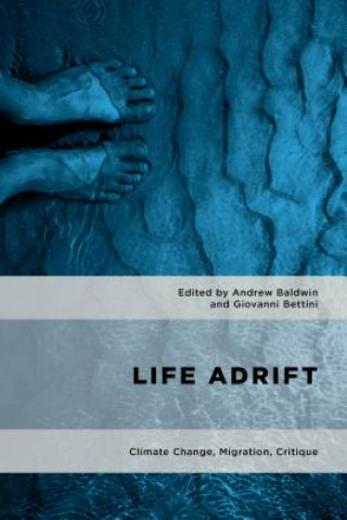 Buch Life Adrift Andrew Baldwin