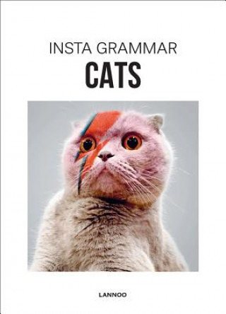 Kniha Insta Grammar: Cats Irene Schampaert
