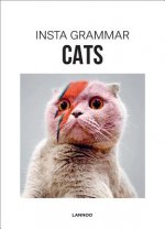 Carte Insta Grammar: Cats Irene Schampaert