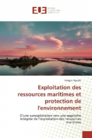 Kniha Exploitation des ressources maritimes et protection de l'environnement Gregue Nguele