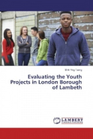 Kniha Evaluating the Youth Projects in London Borough of Lambeth Shih Ying Tseng