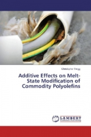 Kniha Additive Effects on Melt-State Modification of Commodity Polyolefins Christopher Twigg