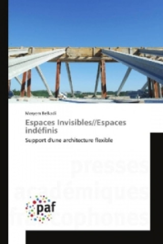 Book Espaces Invisibles//Espaces indéfinis Meryem Belkadi