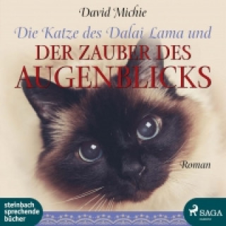 Audio Die Katze des Dalai Lama und der Zauber des Augenblicks, 1 Audio-CD, 1 MP3 David Michie