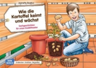 Spiel/Spielzeug Wie die Kartoffel keimt und wächst, Kamishibai Bildkartenset Jeanette Boetius