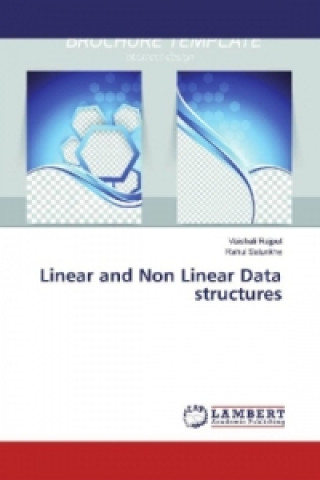 Könyv Linear and Non Linear Data structures Vaishali Rajput