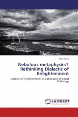 Carte Nebulous metaphysics? Rethinking Dialectic of Enlightenment Neal Harris