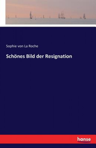 Buch Schoenes Bild der Resignation Sophie Von La Roche