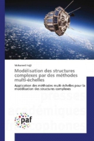 Kniha Modélisation des structures complexes par des méthodes multi-échelles Mohamed Hajji