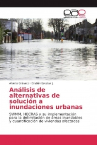 Książka Análisis de alternativas de solución a inundaciones urbanas Alberto Grissetti