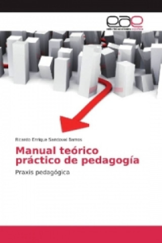 Buch Manual teórico práctico de pedagogía Ricardo Enrique Sandoval Barros