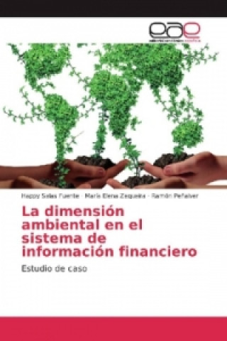 Könyv La dimensión ambiental en el sistema de información financiero Happy Salas Fuente