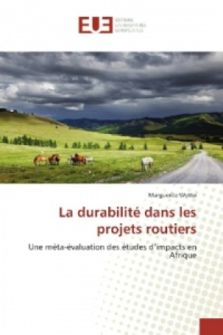 Könyv La durabilité dans les projets routiers Marguerite Wotto