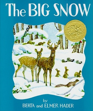 Livre Big Snow Berta Hader